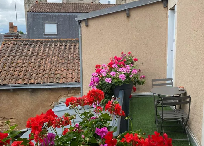 • Bel - Centre Historique De * Poitiers